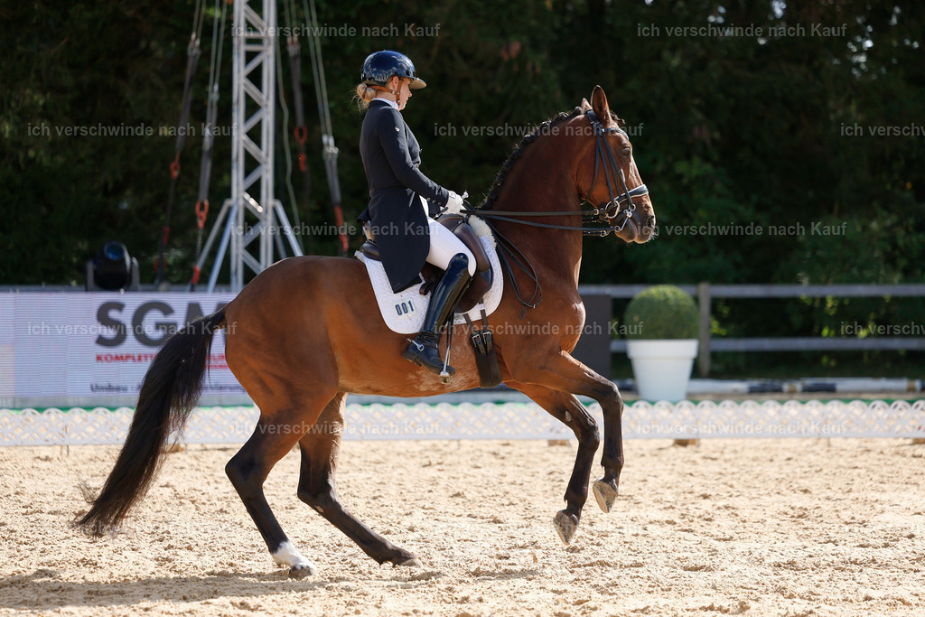 09_2-001-DRESSUR  S_  -StoibPH-5808 | working equitationturnier fotograf videograf stoibphotography marixx film working equitation deutschland reitsport turnierfotografie eventfotografie equestrian events