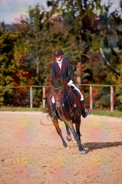 2026_10_03_Siefer-Hof_154201_Z81_59590025 | Professionelle Reitsport-, Turnier- und Eventfotografie von Robert Broda. Galerien mit ausgewählten und bearbeiteten Bildern direkt online ansehen und bestellen.