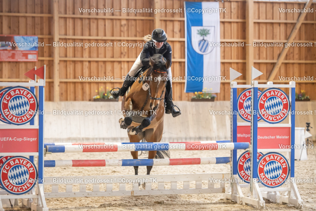 _D5A8288 | Emotionale Pferde- & People-Fotografie rund um Heidelberg, Leimen & Umgebung. Natürliche Fotos von Pferd, Mensch & Familie. Jetzt Termin sichern!