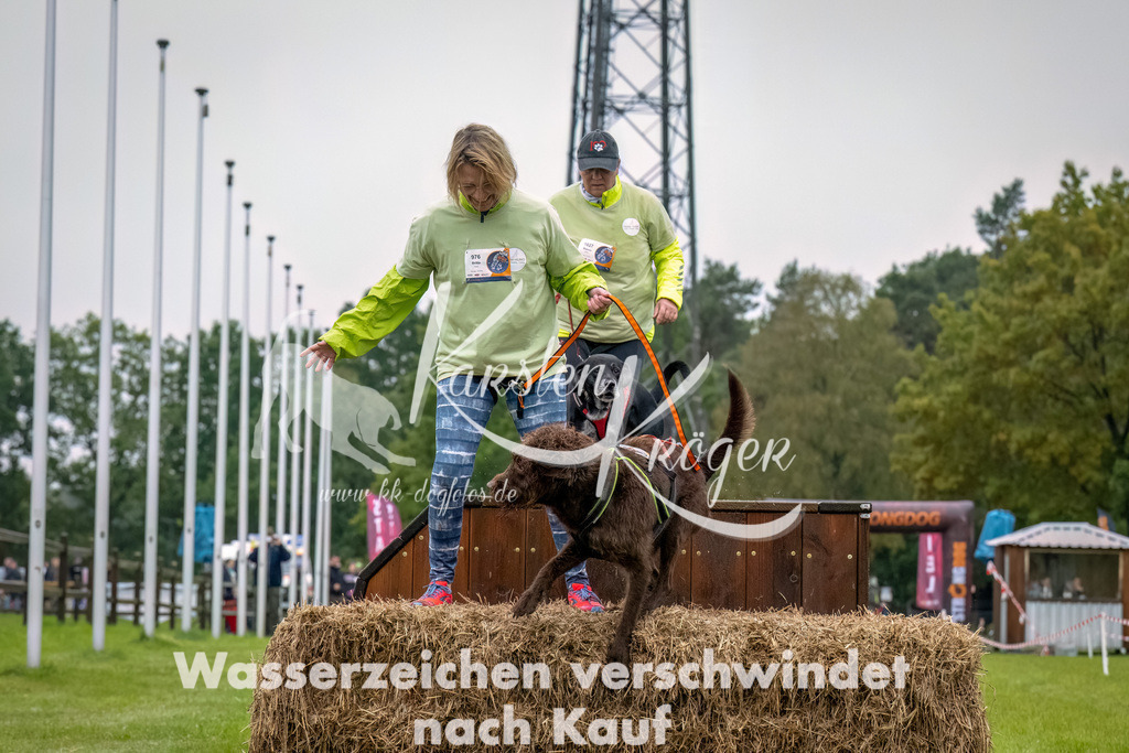 1027-2-4 | kk-dogfotos