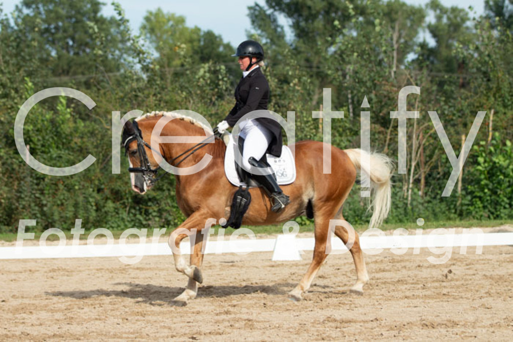 IMG_4554 | Creatify Fotografie