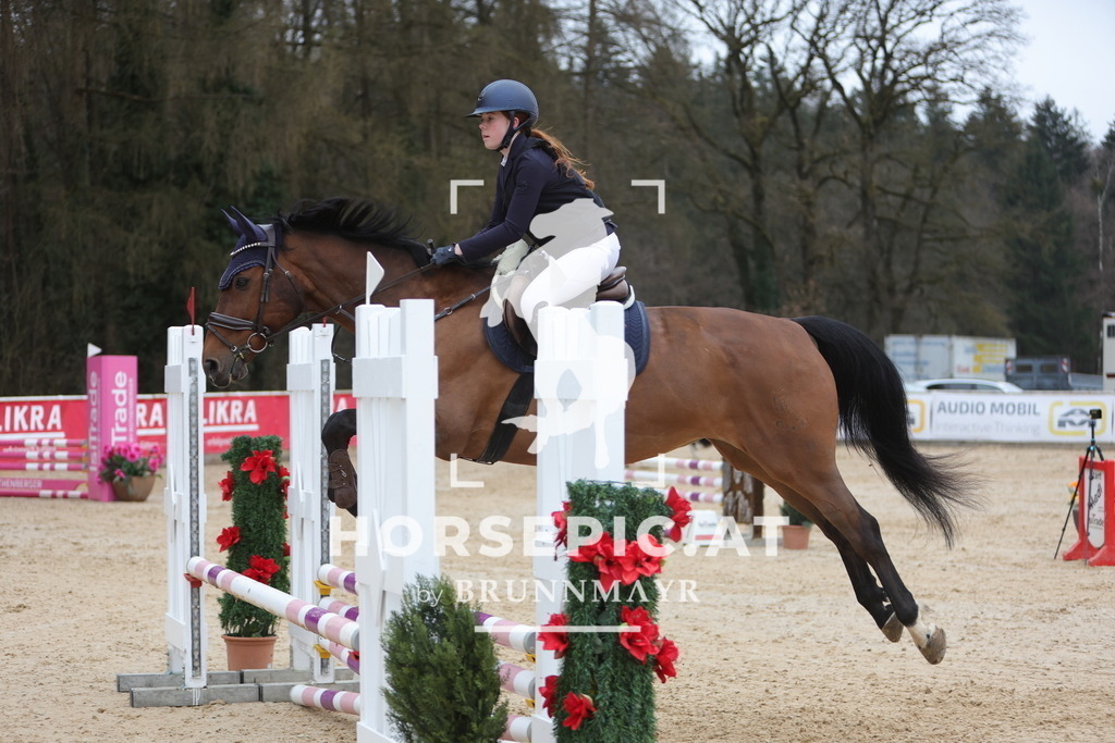 0P6A4398 | Willkommen bei Brunnmayr - Design & Fotografie – Ihrem Spezialisten für Reitturniere und Pferdeveranstaltungen in Oberösterreich, Salzburg und Bayern! Seit über 17 Jahren sind wir leidenschaftlich dabei.