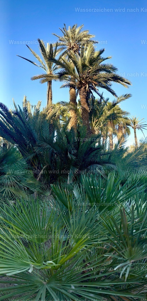 IMG_3946 | heikomoeller - Realisiert mit Pictrs.com