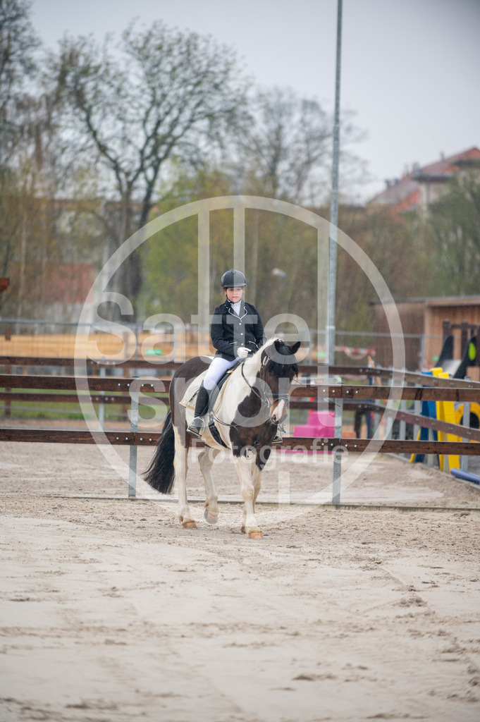 DSC_2633 | sattelsport - Realisiert mit Pictrs.com