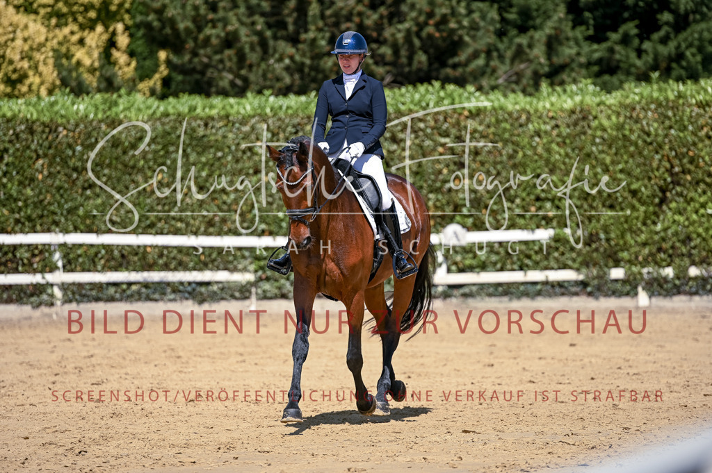 Schugtsche-Aluta25-49.Dressurpferdeprf.A-317 | Schugtsche Fotografie - Realisiert mit Pictrs.com