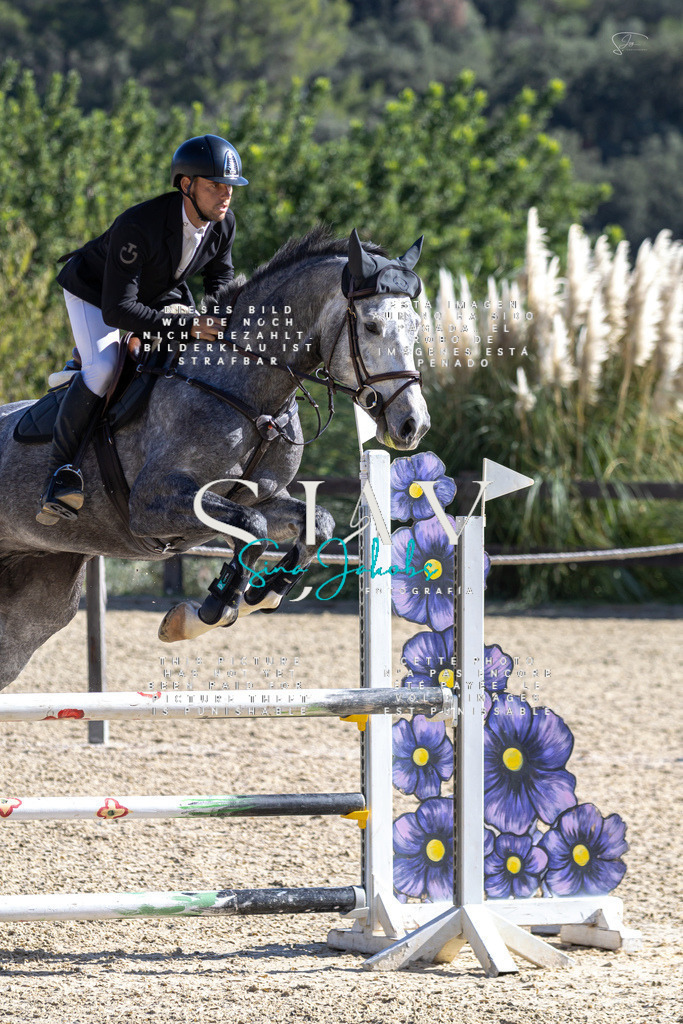 IMG_6558 | s-jay-photography - Realisiert mit Pictrs.com