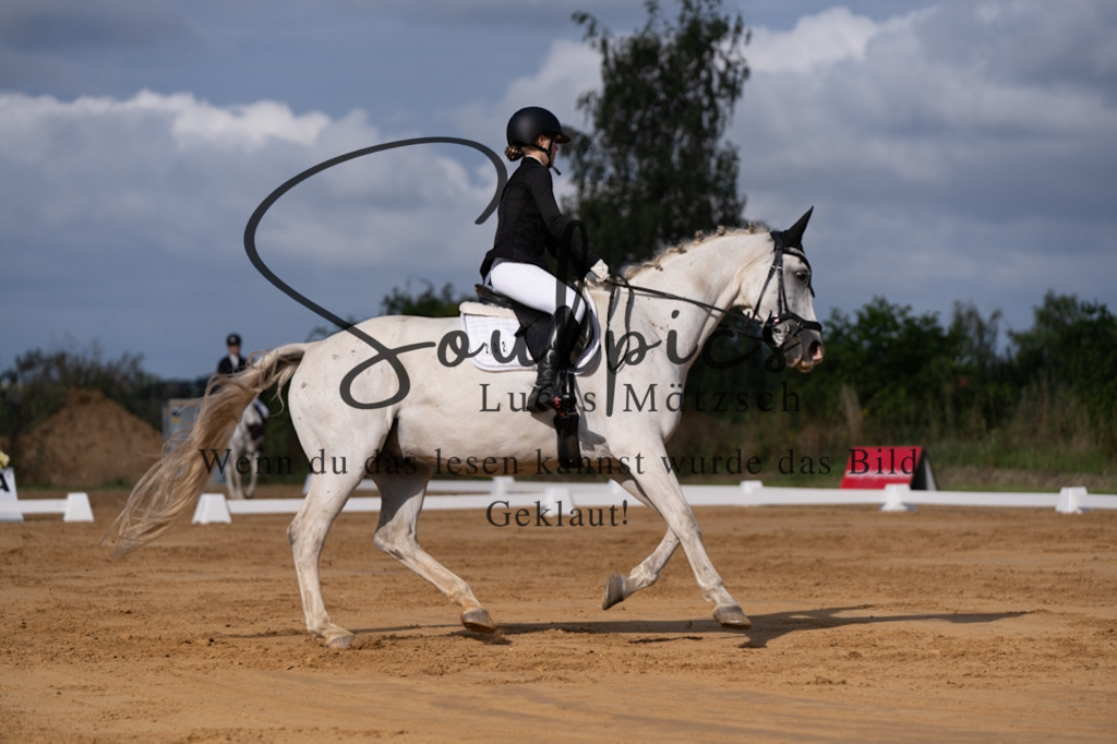 A7V05149 | Pferdefotograf