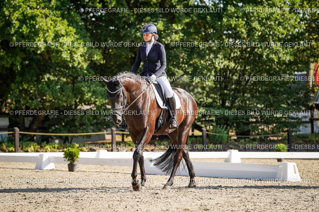 DSC09612 | Pferdegrafie