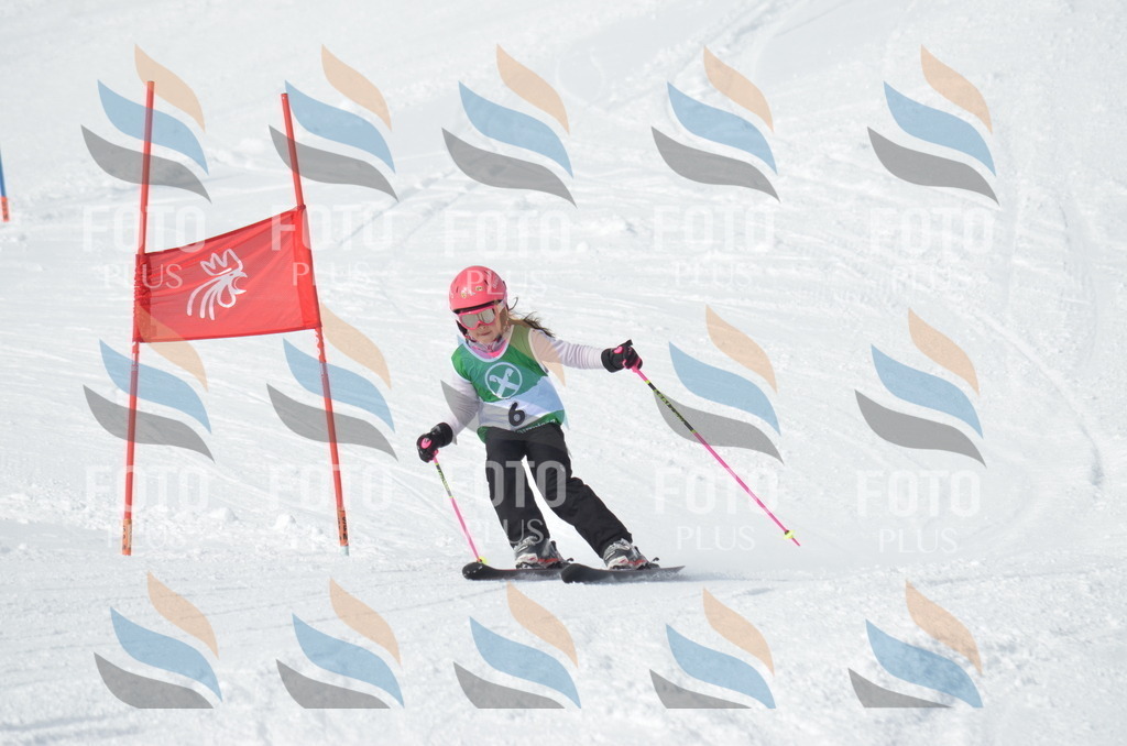 D8481 | holidayphoto