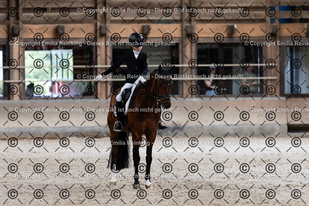 CL5A4195 | Emilia Reinking Fotografie - Realisiert mit Pictrs.com