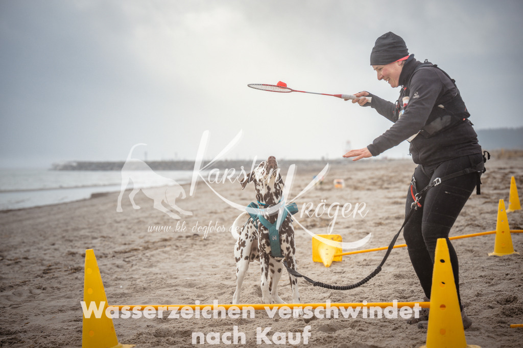 1114_ZZ97398 | kk-dogfotos