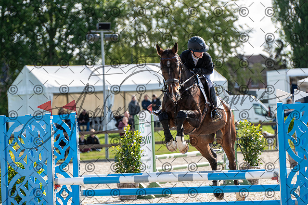 KPT_4586 | andre_photographic