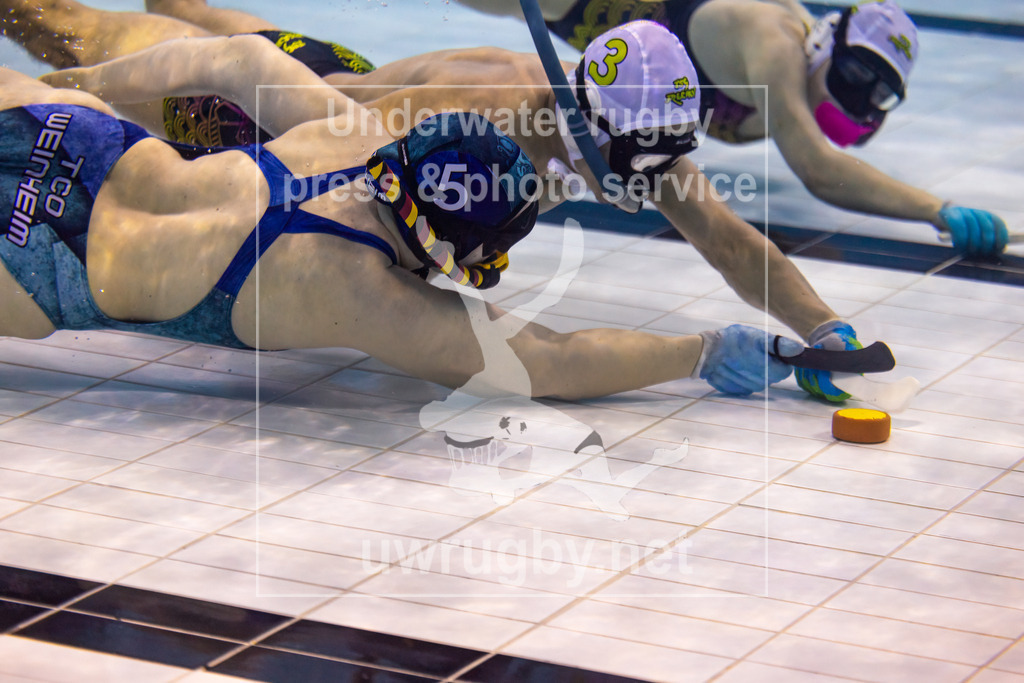 Unterwasser-Hockey: Rückrunde Liga 2023/2024 - Bild 8 | Tauchlcub Octopus (TCO) Weinheim 2 in blau gegen die TSG Frechen in weiß. Kampf um den Puck in der Spielfeldmitte auf dem Beckenboden des Schwimmbeckens. - Realisiert mit Pictrs.com