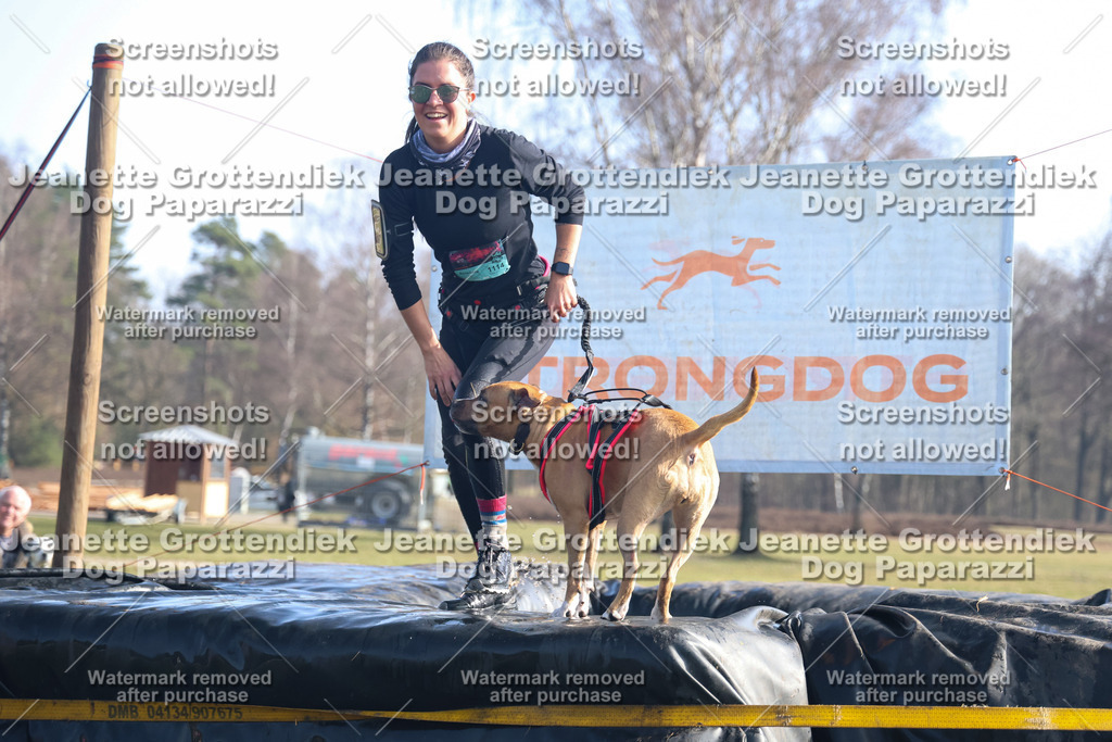 Dog Paparazzi - Strongdog North Mrz26-1196 | Dog Paparazzi Jeanette Grottendiek Fotografie & Videografie - Realisiert mit Pictrs.com
