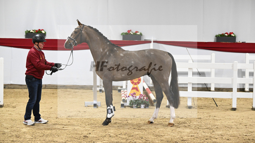 Kat-Nr. 30 v. Comme il faut NRW_PBM Pferfferle GmbH_63221064 | hf-fotografie - Realizzato con Pictrs.com