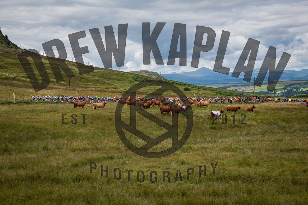 DKP-8503935 | Drew Kaplan Photography