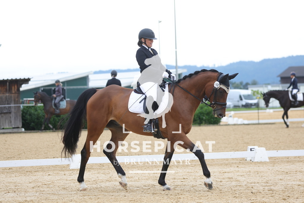 0P6A8194 | Willkommen bei Brunnmayr - Design & Fotografie – Ihrem Spezialisten für Reitturniere und Pferdeveranstaltungen in Oberösterreich, Salzburg und Bayern! Seit über 17 Jahren sind wir leidenschaftlich dabei.