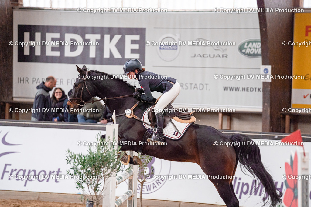 Kranichstein Tag 3-502 | dv-media-shop - Realisiert mit Pictrs.com