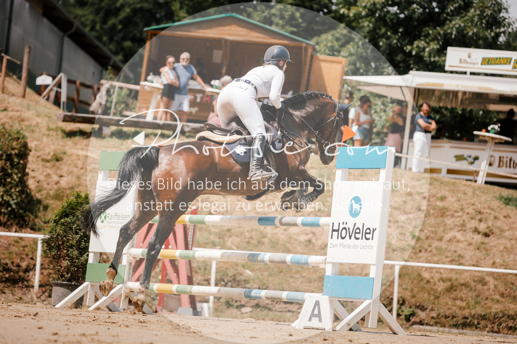 3I6A7913 | Stimmungsvolle Portraits und Reitsportfotografie im Ruhrgebiet und im Münsterland.

Pferdefotografie, Hundefotografie, Tierfotografie, Reportagen, Portraits von Tier und Mensch, Turnierfotografie in Bochum, Recklinghausen, Marl, Haltern am See, Dülmen.. - Realisiert mit Pictrs.com