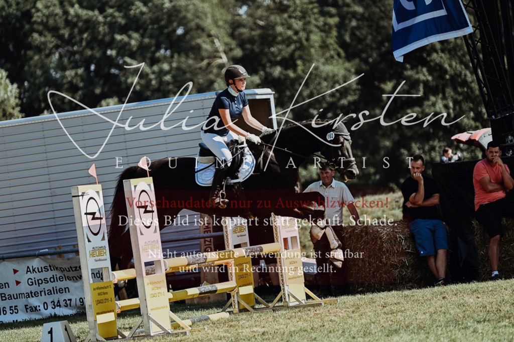 DSC_6623 | Pferde- und Turnierfotografie in Westsachsen. Pferdeportraits, Auftragszeichnungen und intuitive Kunst.