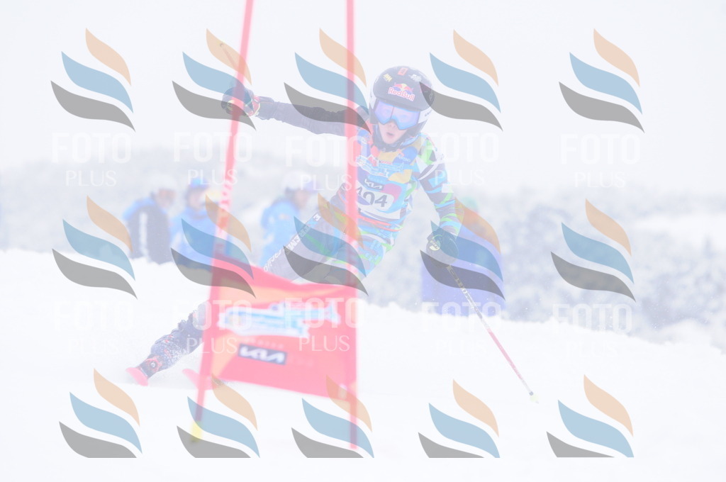 C4246 | holidayphoto