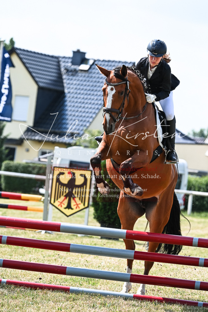 DSC_8674 | Pferde- und Turnierfotografie in Westsachsen. Pferdeportraits, Auftragszeichnungen und intuitive Kunst.