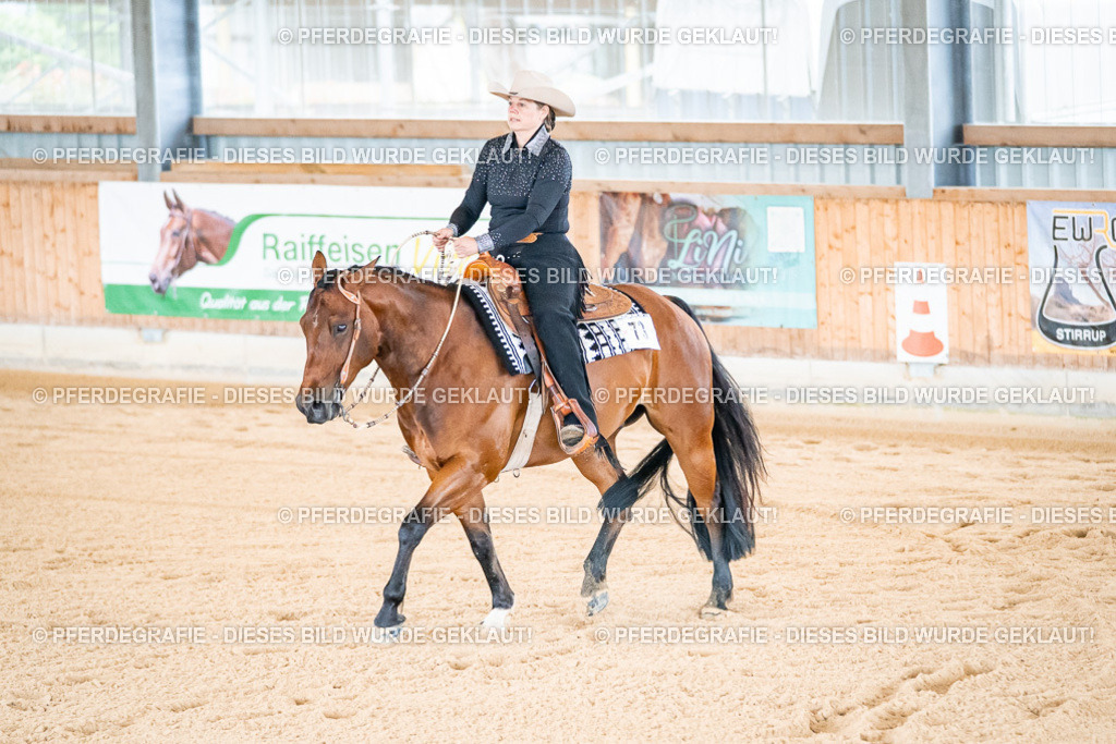 DSC01680 | Pferdegrafie