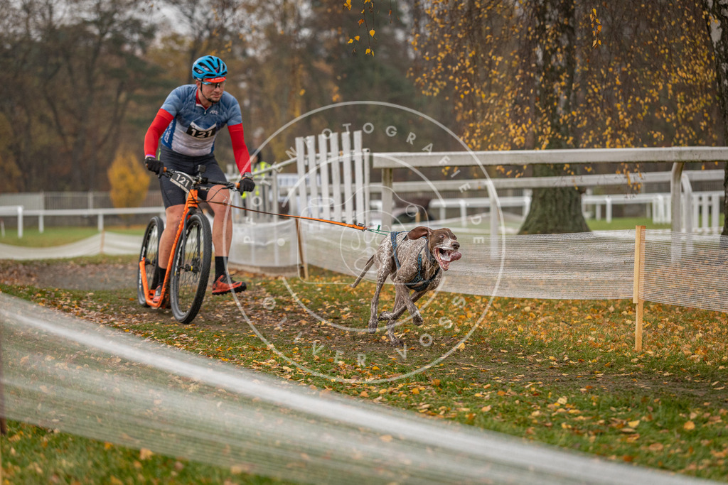 CaniXpix_DV3A8264 | Hundefotografie, Tierfotograf, Pfotenfotografie, Fotoshooting Hund, Hunde Portrait, Hundesport, Hundeportraits, Heideshooting, Hunde, Sportfotograf, Hundefotograf, Turnierhundsport, THS,  - Realisiert mit Pictrs.com