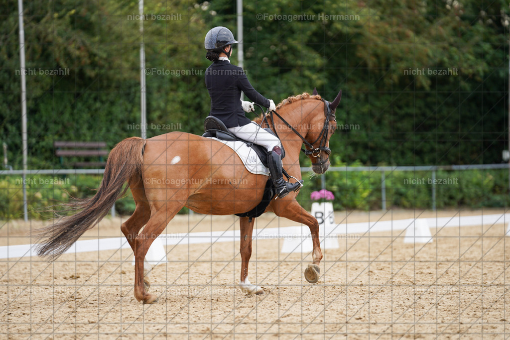 20240825-FAH09980 | Turnierbilder, Reitsportfotos, LAPO, Landesponyturnier, Turnierfotografen Bayern