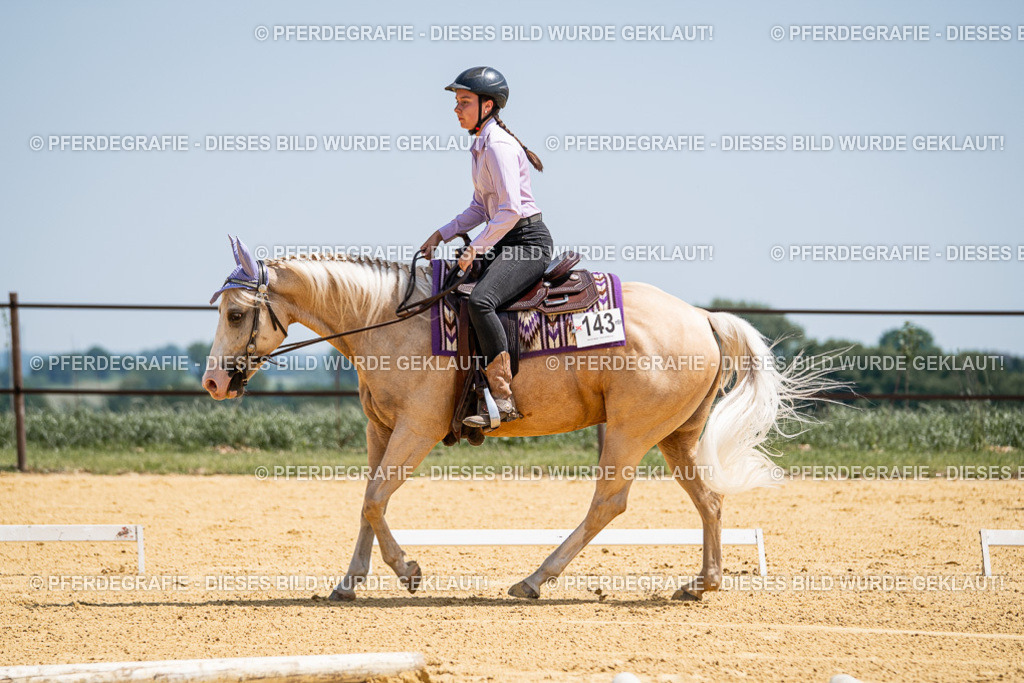 DSC01129 | Pferdegrafie