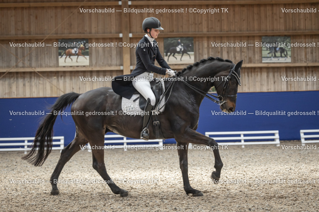 _D5A0584 | Emotionale Pferde- & People-Fotografie rund um Heidelberg, Leimen & Umgebung. Natürliche Fotos von Pferd, Mensch & Familie. Jetzt Termin sichern!