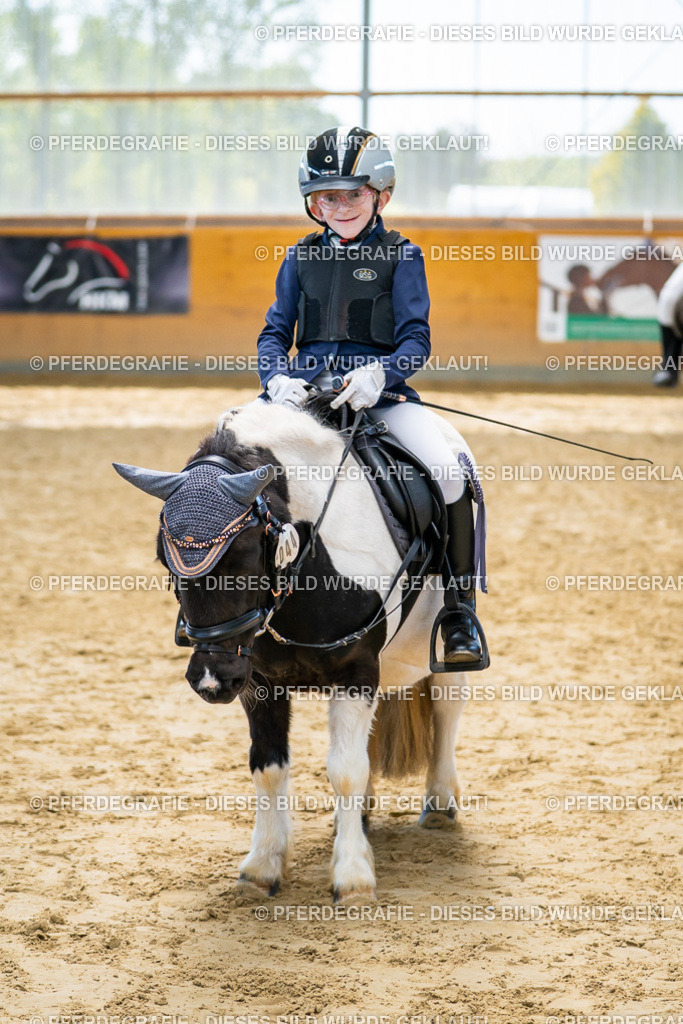 DSC01463 | Pferdegrafie