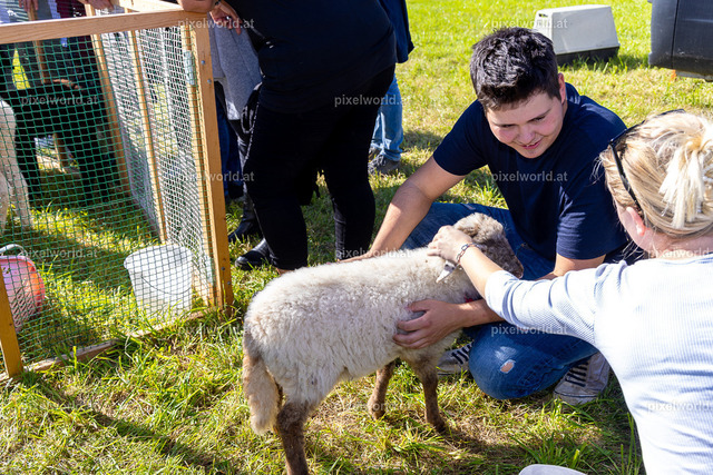 SchaZie Tag | Bildershop von pixelworld.at - Realisiert mit Pictrs.com