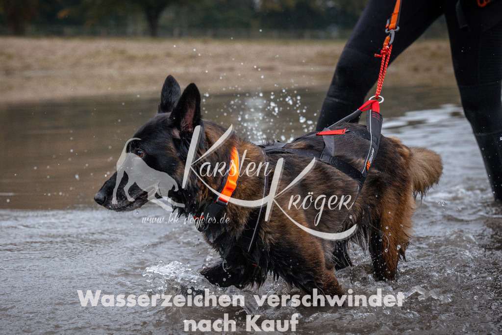 0905_ZZ94172 | kk-dogfotos