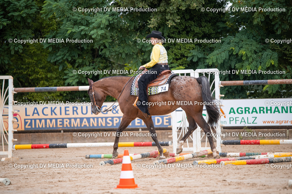 ZS3_4694 | dv-media-shop - Realisiert mit Pictrs.com