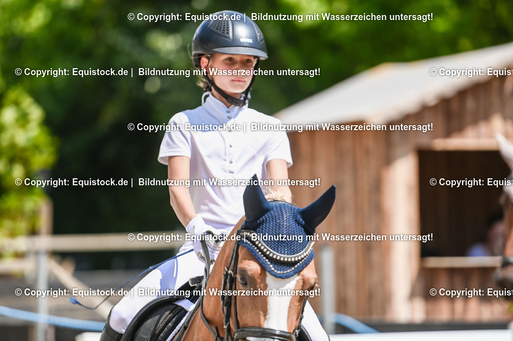 20230715_09_Dressur-WB_0288 | equistock