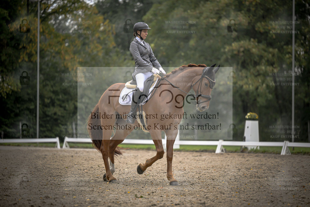 FOTO OGER | Entdecke hochwertige Reitturnierfotos von Foto Oger. Professionell, emotional und authentisch – jetzt Lieblingsmomente im Shop bestellen. - Realisiert mit Pictrs.com