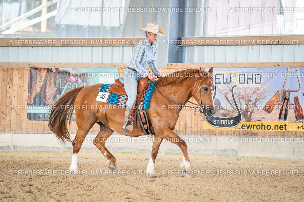 DSC02412 | Pferdegrafie