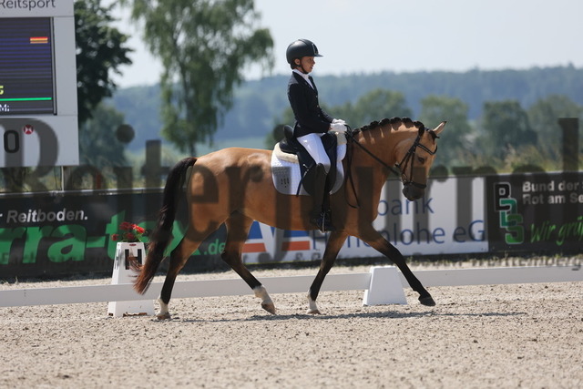 Rot am See_2024_Prfg.Nr.21_Qual.BCH_und_LCH_5-jähr.Ponys_Rosa Duong_Cocosita (2) | Alle Fotos der Reiterjournal Fotografin Doris Matthaes im Reiterjournal Online-Fotoshop. - Realisiert mit Pictrs.com