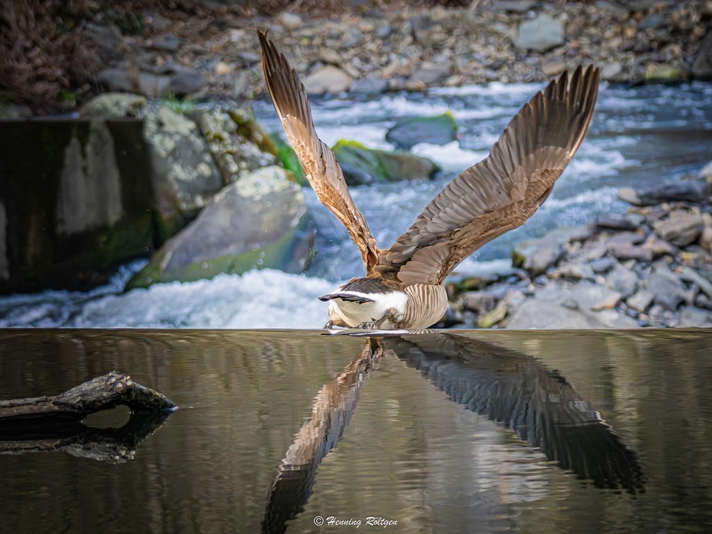 _Final-02314-(P3230480-23.03.2026) | henroe-photoart-shop