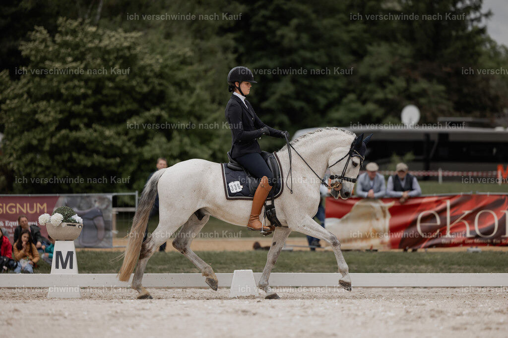 WE_DR_Stoib_336_PI2025_810 | Pferd International München 2025