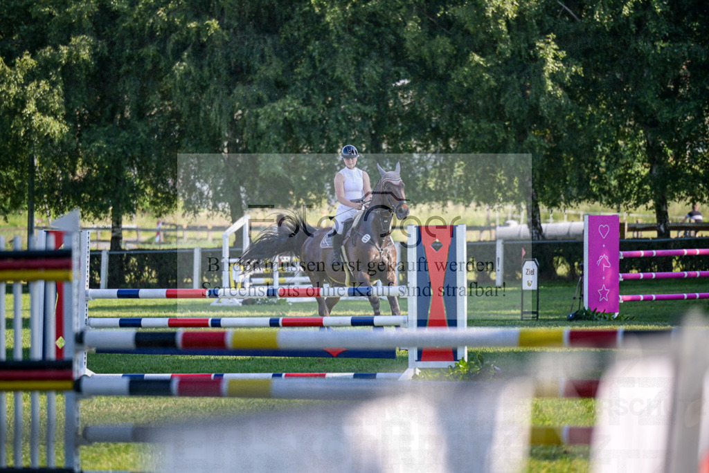 Reitturnier Voxtrup | Entdecke hochwertige Reitturnierfotos von Foto Oger. Professionell, emotional und authentisch – jetzt Lieblingsmomente im Shop bestellen.Deutschlandweite Turnierfotografie. - Realisiert mit Pictrs.com