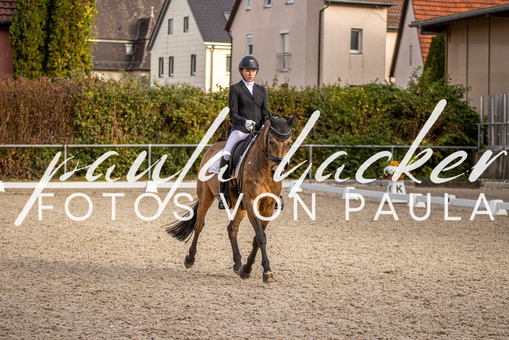 IMG_4446 | Erleben Sie dynamische Sport- und emotionale Tierfotografie in Süddeutschland mit Fotos von Paula. Spezialisiert auf Pferde- und Hundefotografie sowie Sportevents. Kontaktieren Sie mich für einzigartige und ausdrucksstarke Bilder Ihrer besonderen Momente. - Realisiert mit Pictrs.com
