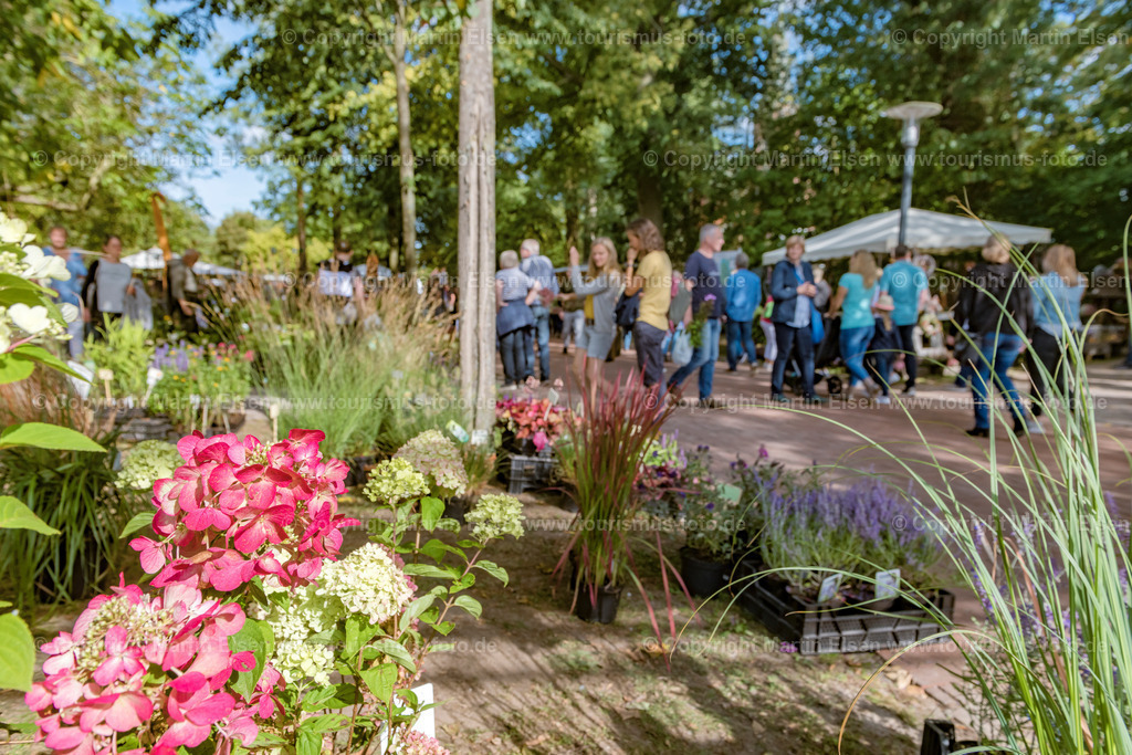 Harsefeld Herbstzauber_ELS_2691140919 | Fotos aus den Touristenorten aus Norddeutschland. - Realisiert mit Pictrs.com