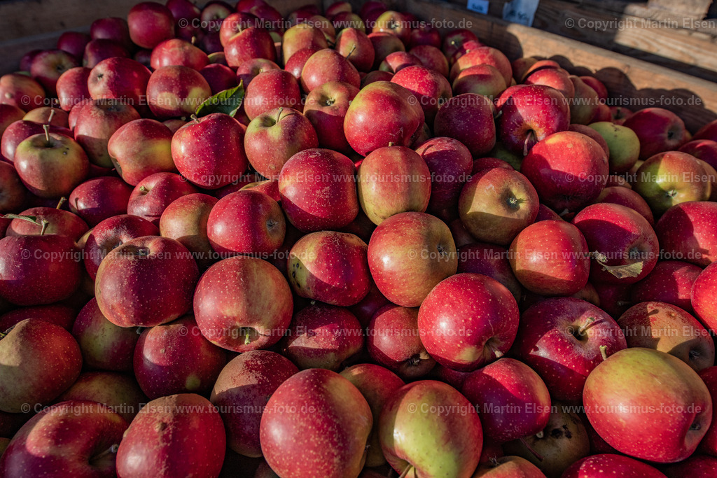 Altes Land Tourismus_ELS_3400061022 | Fotos aus den Touristenorten aus Norddeutschland. - Realisiert mit Pictrs.com