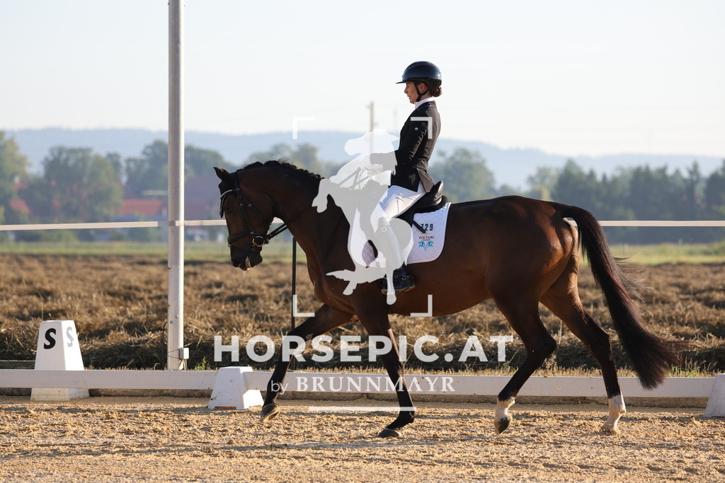 0P6A6541 | Willkommen bei Brunnmayr - Design & Fotografie – Ihrem Spezialisten für Reitturniere und Pferdeveranstaltungen in Oberösterreich, Salzburg und Bayern! Seit über 17 Jahren sind wir leidenschaftlich dabei.