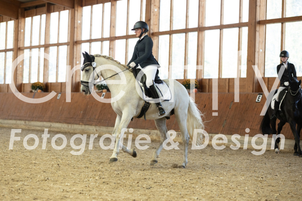 IMG_4941 | Creatify Fotografie