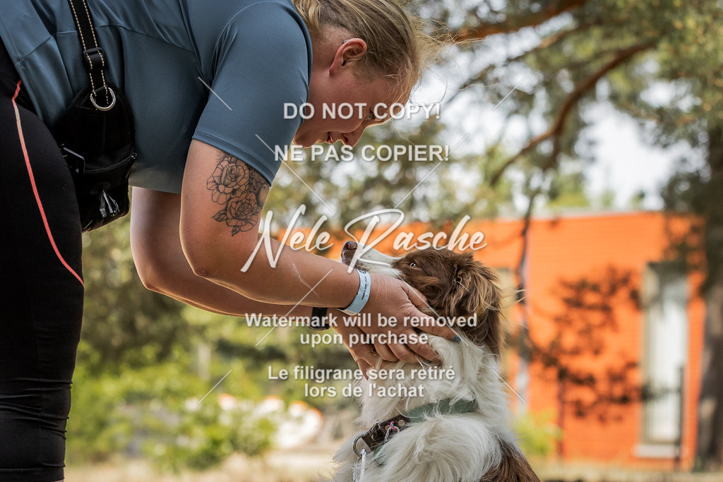 nelerasche_soDD3_141 | nelerasche
