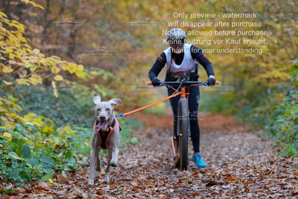 Scooter_So-28 | stephaniefillaphotographie - Realisiert mit Pictrs.com