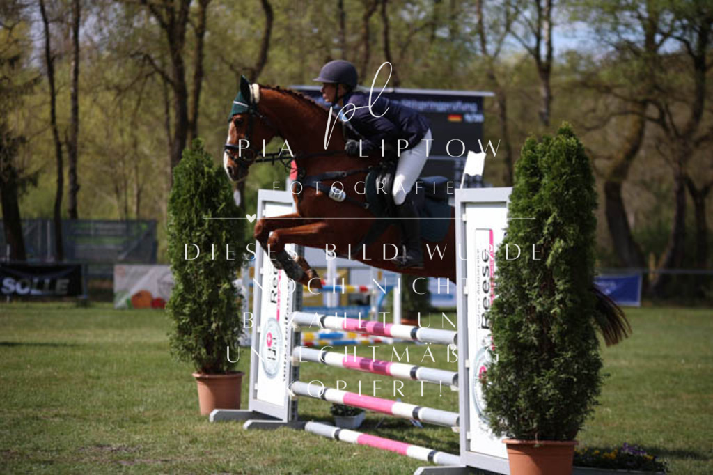 IMGT5307 | pl-fotografie